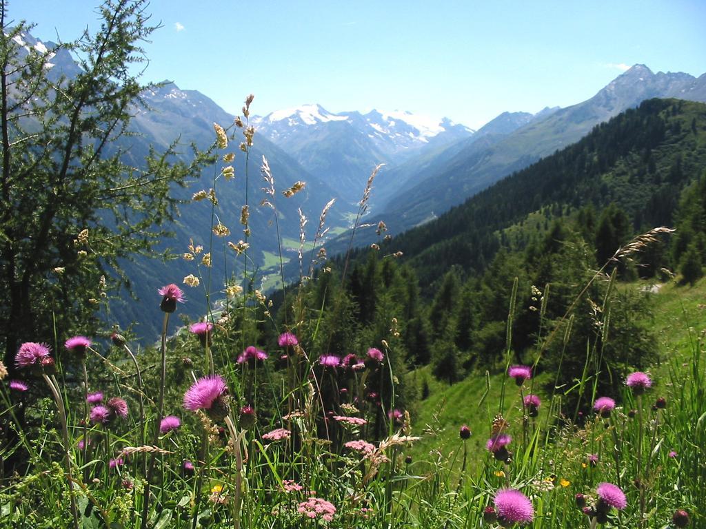 Alpenpension Pfurtscheller Neustift im Stubaital Kültér fotó